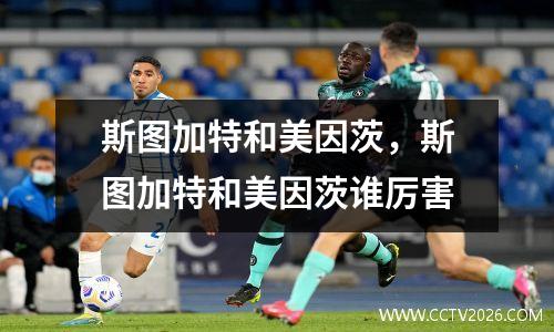 斯图加特和美因茨，斯图加特和美因茨谁厉害