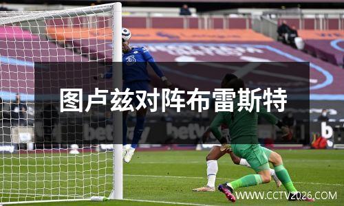 图卢兹对阵布雷斯特