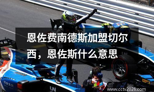 恩佐费南德斯加盟切尔西，恩佐斯什么意思