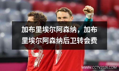 加布里埃尔阿森纳，加布里埃尔阿森纳后卫转会费