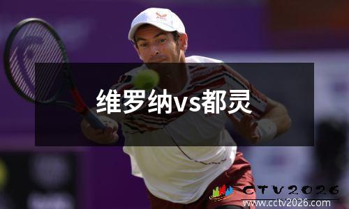 维罗纳vs都灵