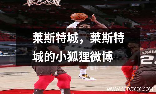 莱斯特城，莱斯特城的小狐狸微博