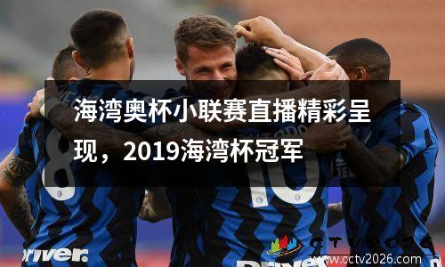 海湾奥杯小联赛直播精彩呈现，2019海湾杯冠军