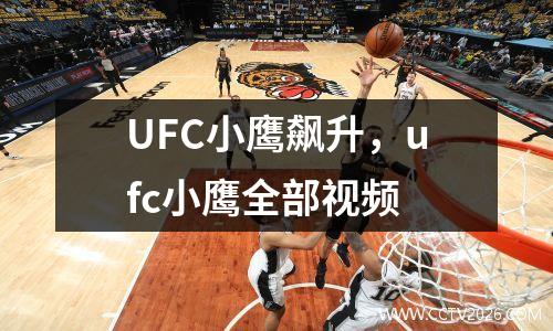UFC小鹰飙升，ufc小鹰全部视频