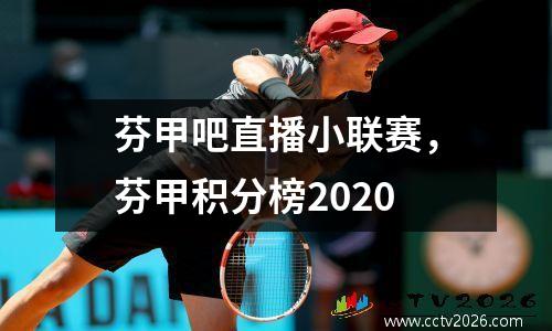 芬甲吧直播小联赛，芬甲积分榜2020