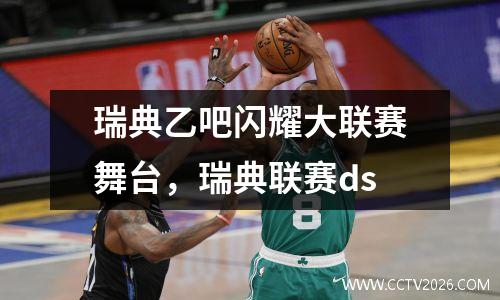 瑞典乙吧闪耀大联赛舞台，瑞典联赛ds