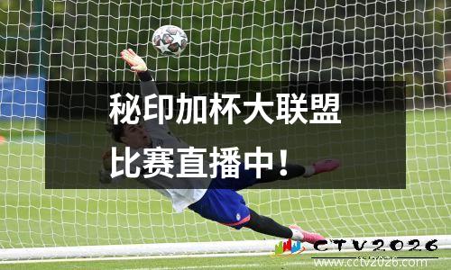 秘印加杯大联盟比赛直播中！