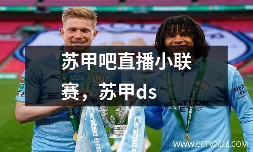 苏甲吧直播小联赛，苏甲ds