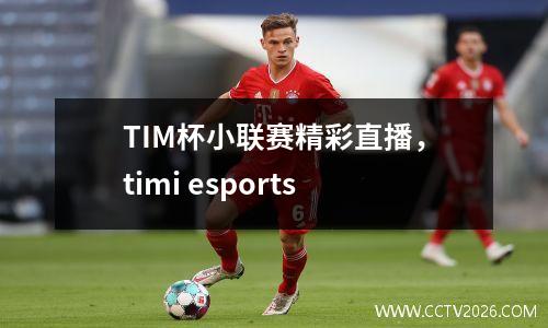 TIM杯小联赛精彩直播，timi esports
