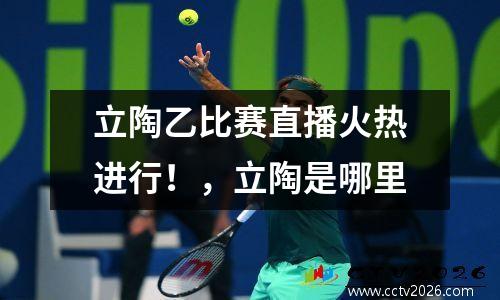 立陶乙比赛直播火热进行！，立陶是哪里