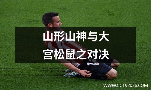 山形山神与大宫松鼠之对决