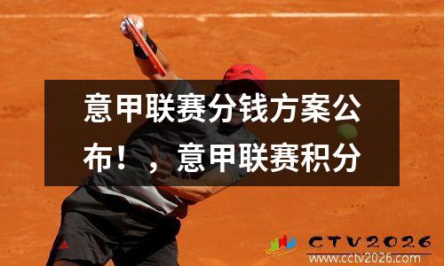 意甲联赛分钱方案公布！，意甲联赛积分