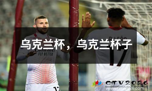 乌克兰杯，乌克兰杯子