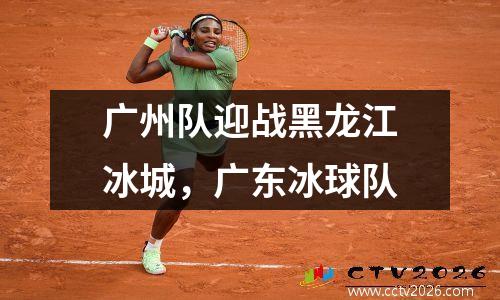 广州队迎战黑龙江冰城，广东冰球队