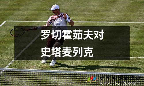 罗切霍茹夫对史塔麦列克