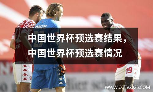 中国世界杯预选赛结果，中国世界杯预选赛情况
