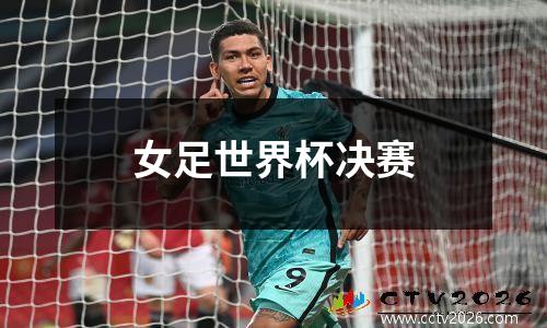 女足世界杯决赛