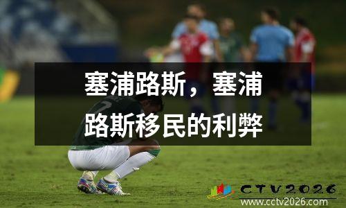 塞浦路斯，塞浦路斯移民的利弊