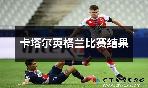 卡塔尔英格兰比赛结果