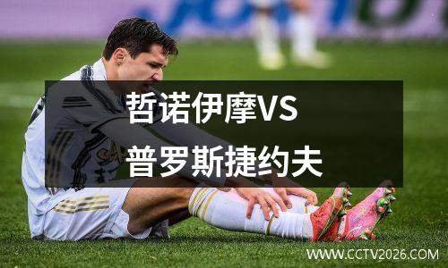 哲诺伊摩VS普罗斯捷约夫
