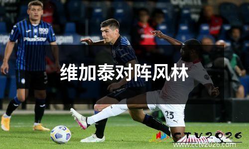 维加泰对阵风林