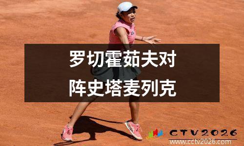 罗切霍茹夫对阵史塔麦列克
