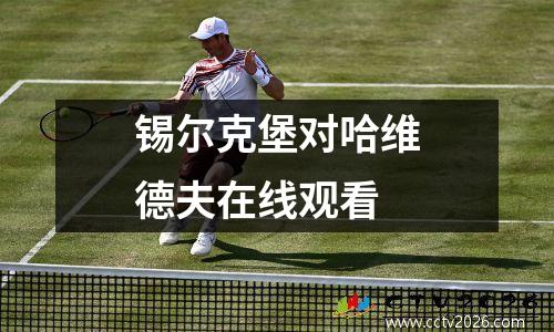 锡尔克堡对哈维德夫在线观看