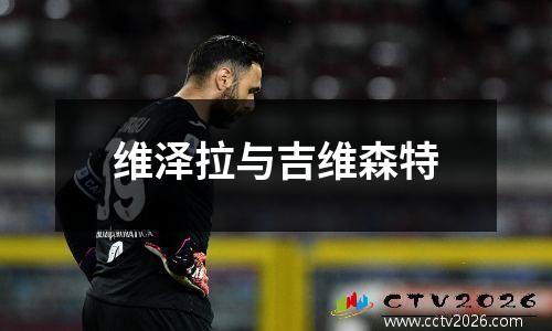 维泽拉与吉维森特