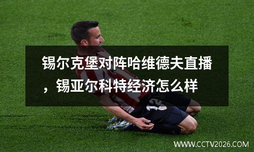 锡尔克堡对阵哈维德夫直播，锡亚尔科特经济怎么样