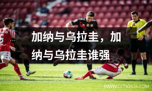 加纳与乌拉圭，加纳与乌拉圭谁强