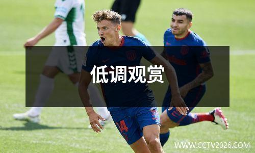 低调观赏
