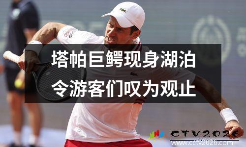 塔帕巨鳄现身湖泊令游客们叹为观止