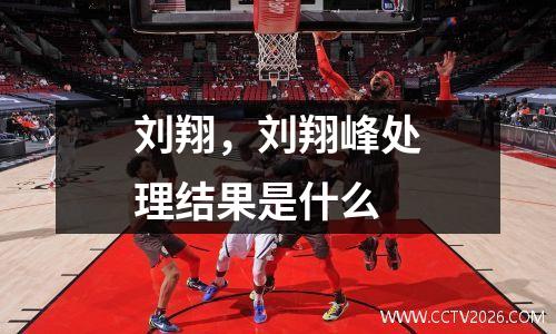 刘翔，刘翔峰处理结果是什么