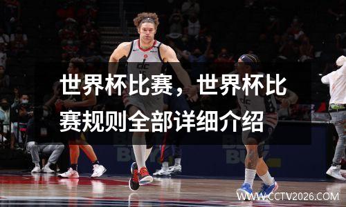 世界杯比赛，世界杯比赛规则全部详细介绍