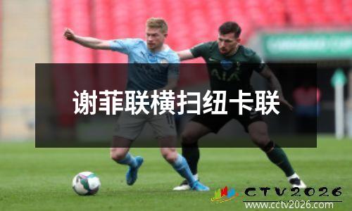 谢菲联横扫纽卡联