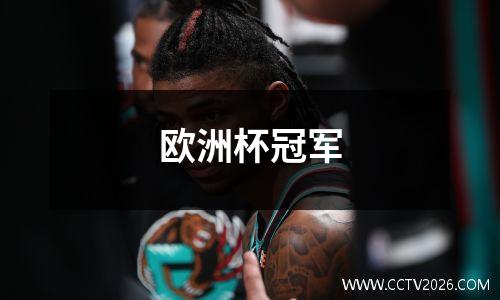 欧洲杯冠军