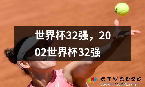 世界杯32强，2002世界杯32强