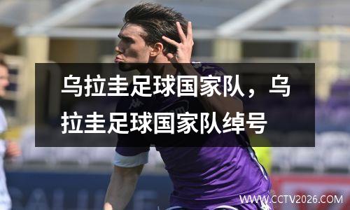 乌拉圭足球国家队，乌拉圭足球国家队绰号