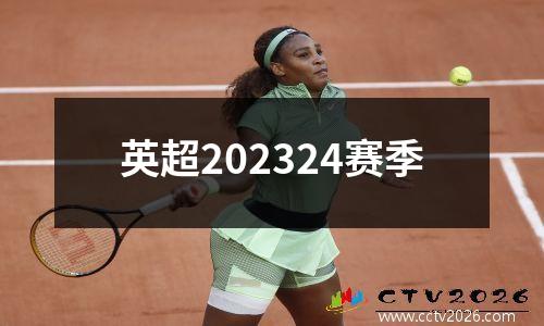 英超202324赛季