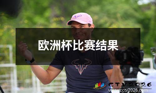 欧洲杯比赛结果