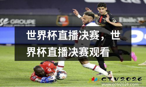 世界杯直播决赛，世界杯直播决赛观看