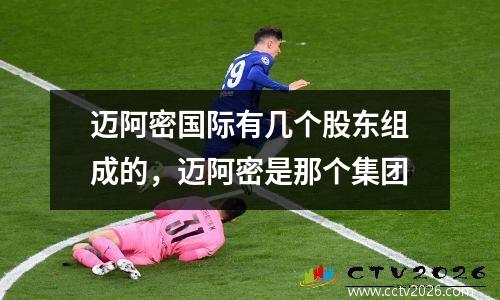 迈阿密国际有几个股东组成的，迈阿密是那个集团