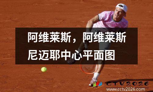阿维莱斯，阿维莱斯尼迈耶中心平面图