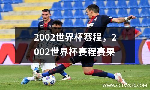 2002世界杯赛程，2002世界杯赛程赛果
