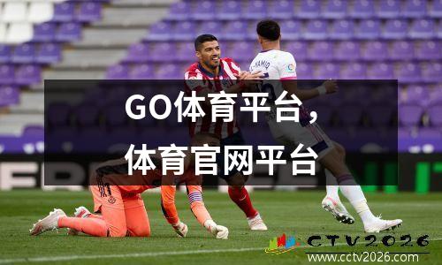 GO体育平台，体育官网平台