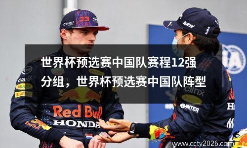 世界杯预选赛中国队赛程12强分组，世界杯预选赛中国队阵型