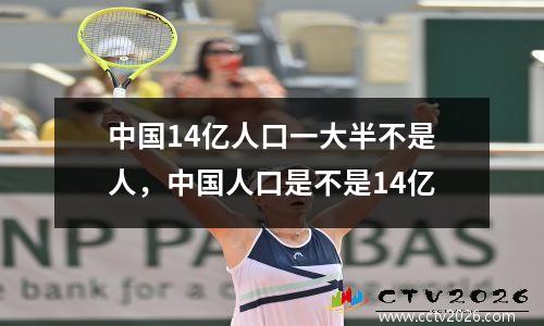 中国14亿人口一大半不是人，中国人口是不是14亿