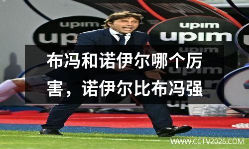 布冯和诺伊尔哪个厉害，诺伊尔比布冯强