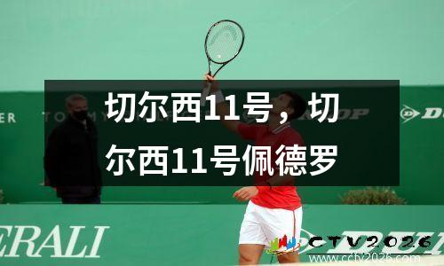 切尔西11号，切尔西11号佩德罗