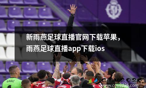 新雨燕足球直播官网下载苹果，雨燕足球直播app下载ios